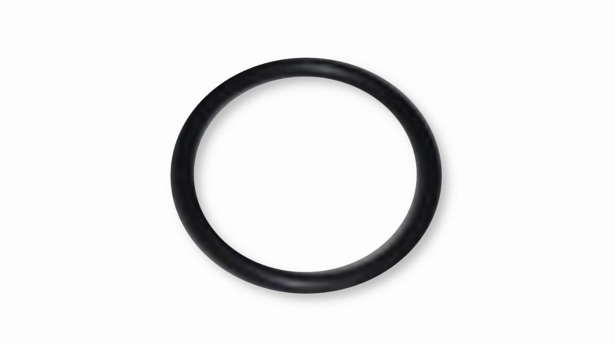 ANEL ORING CANECA TRANSFERENCIA SCANIA 124 8 MARCH - :: S1303798 - 139840